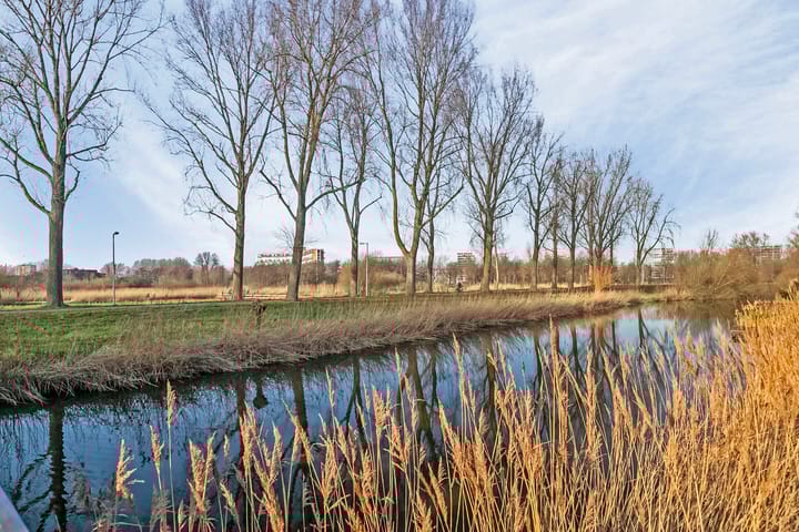 Foto 29 van Berlaarstraat 60