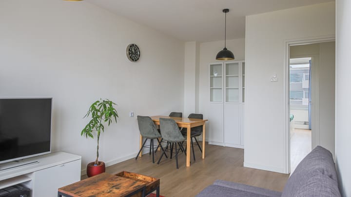 Photo 6 of Trumanlaan 519