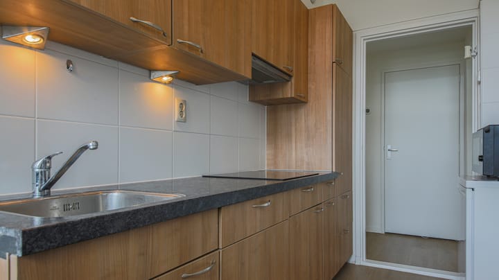 Photo 11 of Trumanlaan 519