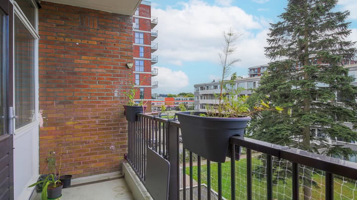 Photo 14 of Trumanlaan 519