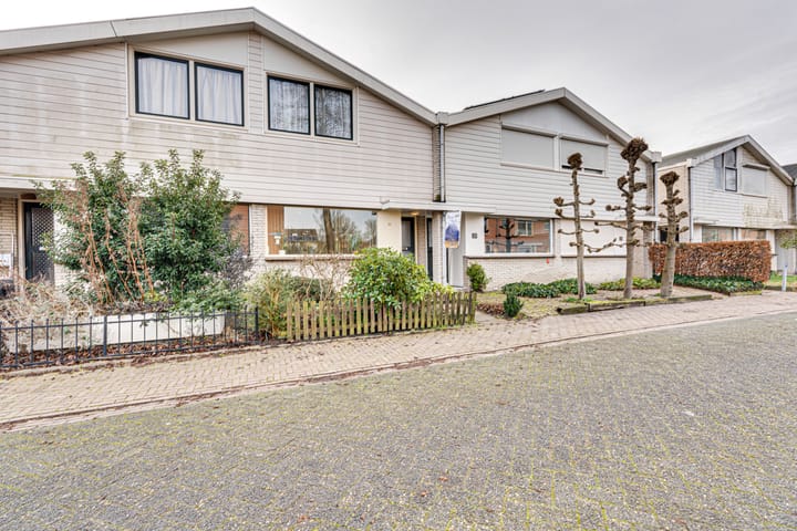 Foto 1 van Van Hallstraat 22