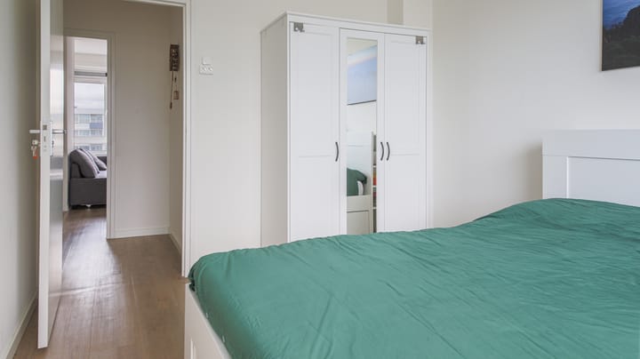 Photo 7 of Trumanlaan 519