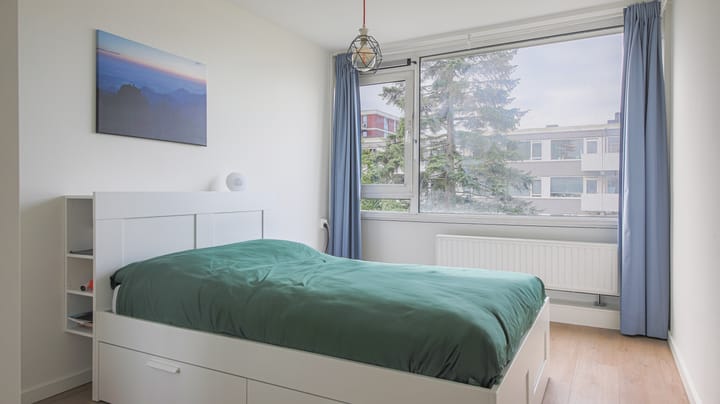 Photo 8 of Trumanlaan 519