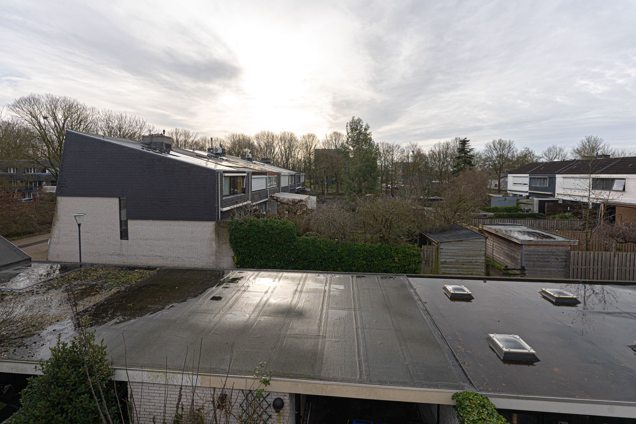 Foto 6 van Van Hallstraat 22