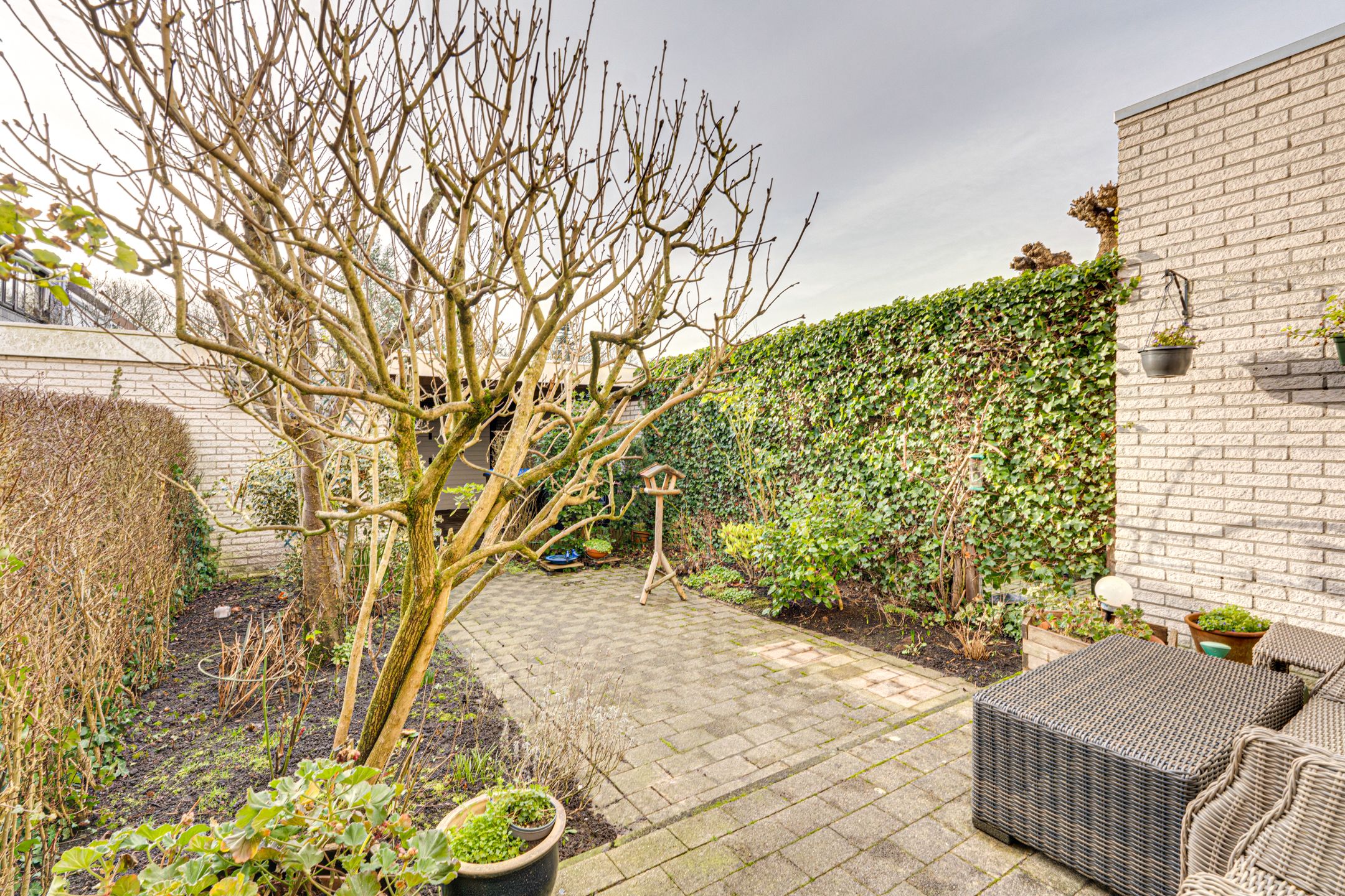 Foto 45 van Van Hallstraat 22