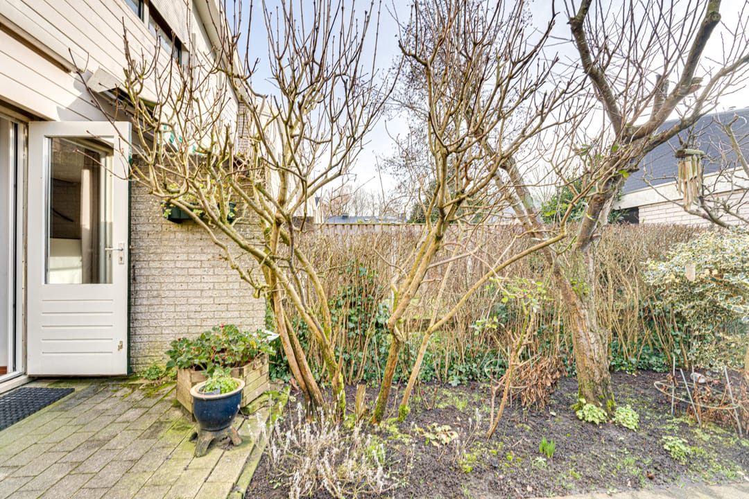 Foto 46 van Van Hallstraat 22