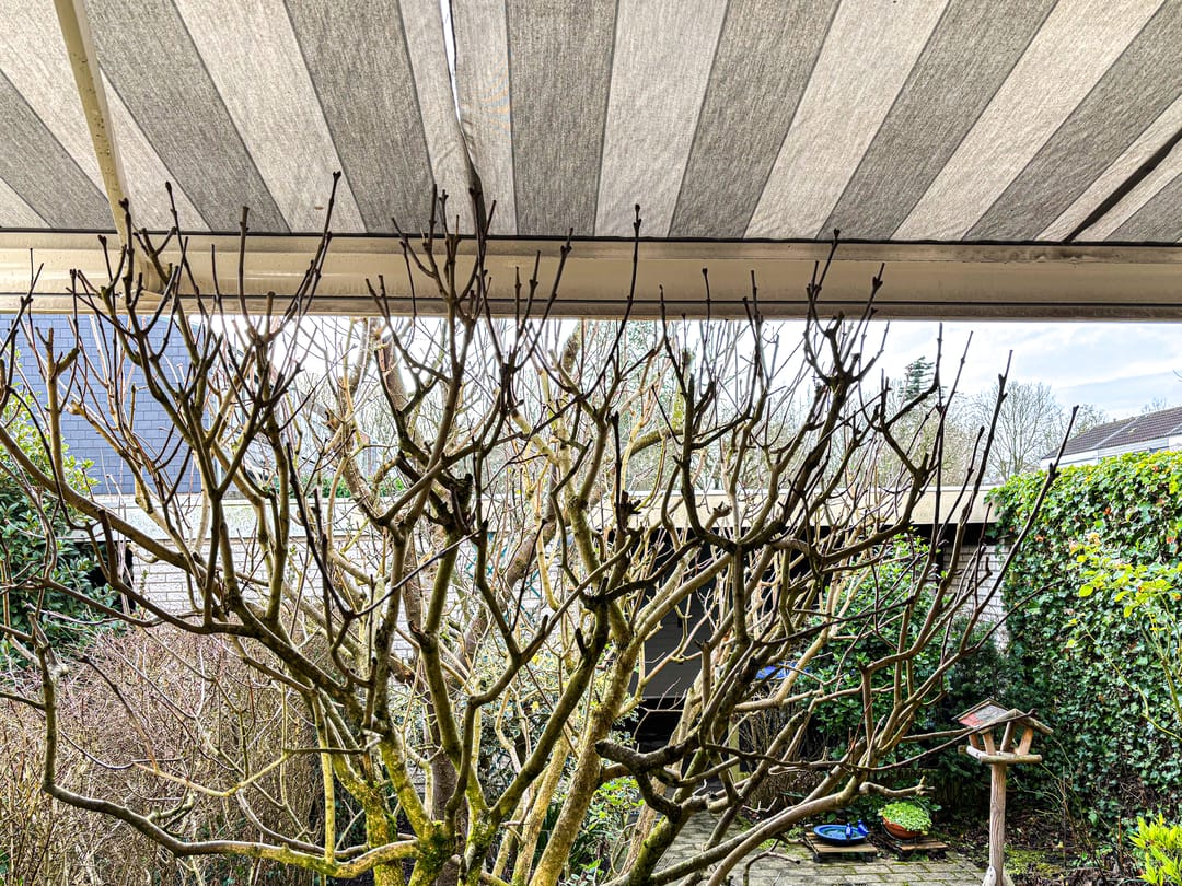 Foto 52 van Van Hallstraat 22