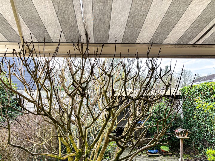 Foto 52 van Van Hallstraat 22