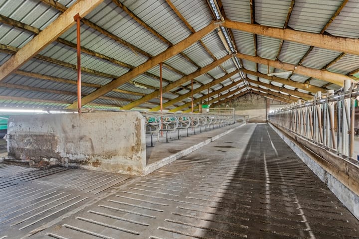 Foto 22 van Idzardaweg 67