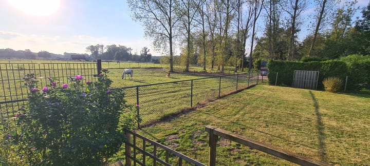 Foto 34 van Rinboomweg 4