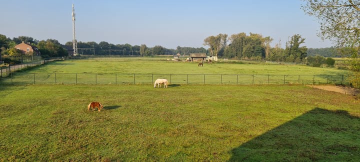 Foto 35 van Rinboomweg 4