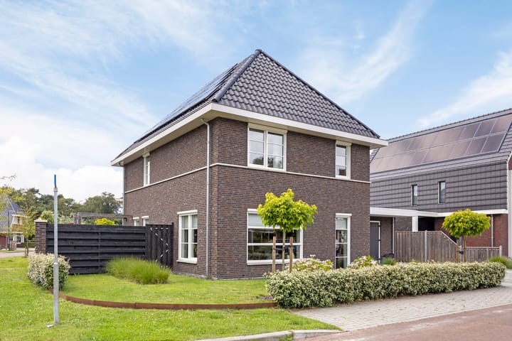 Foto 2 van Pimpernel 9