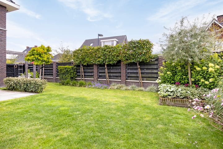 Foto 34 van Pimpernel 9