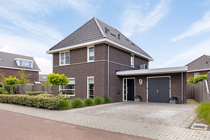 Foto 3 van Pimpernel 9