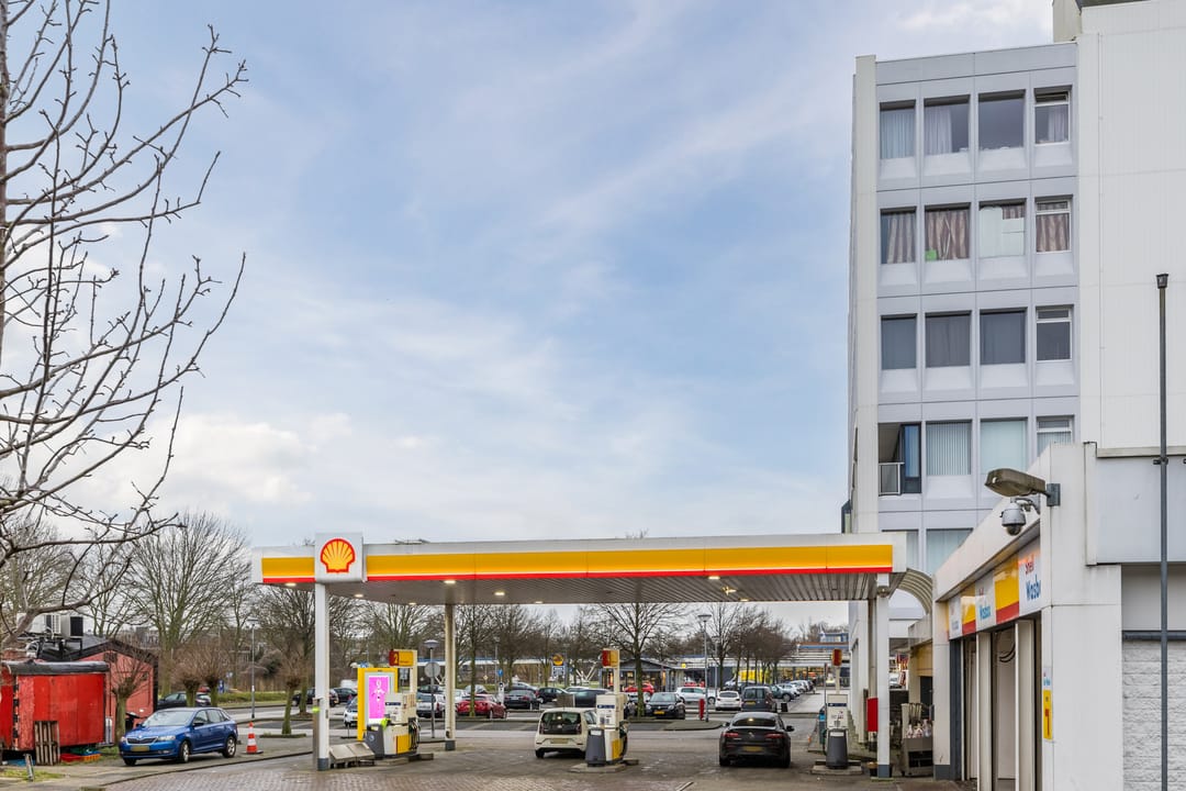 Photo 23 of Bastion 508