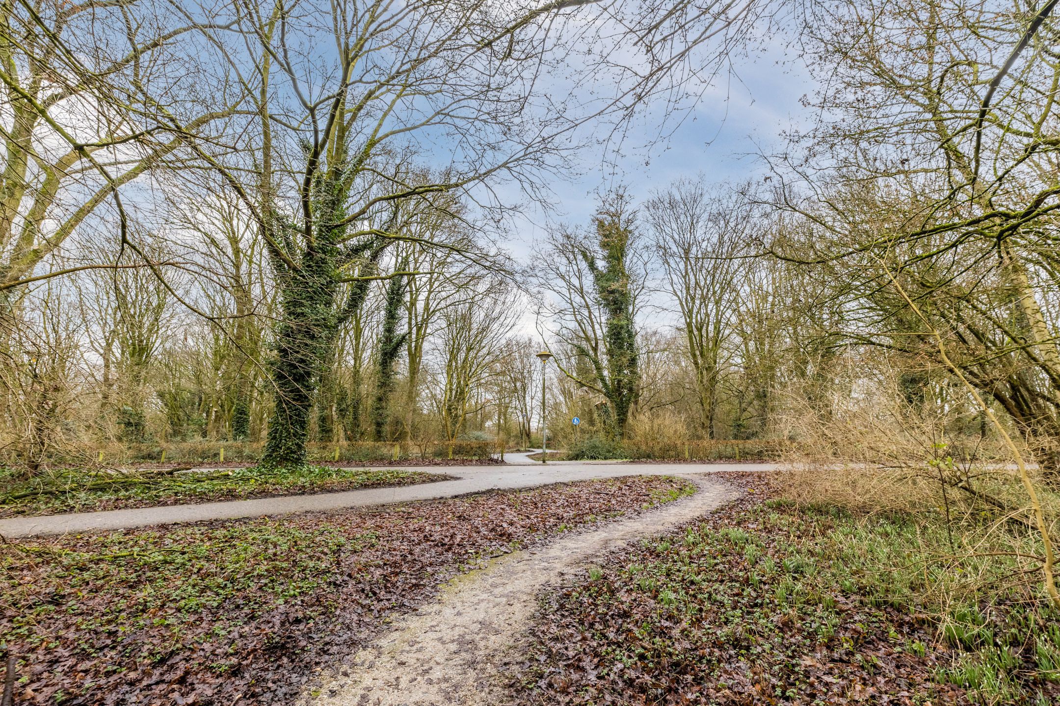 Photo 27 of Bastion 508