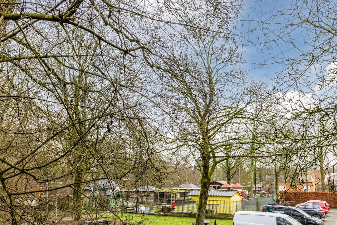 Photo 28 of Bastion 508