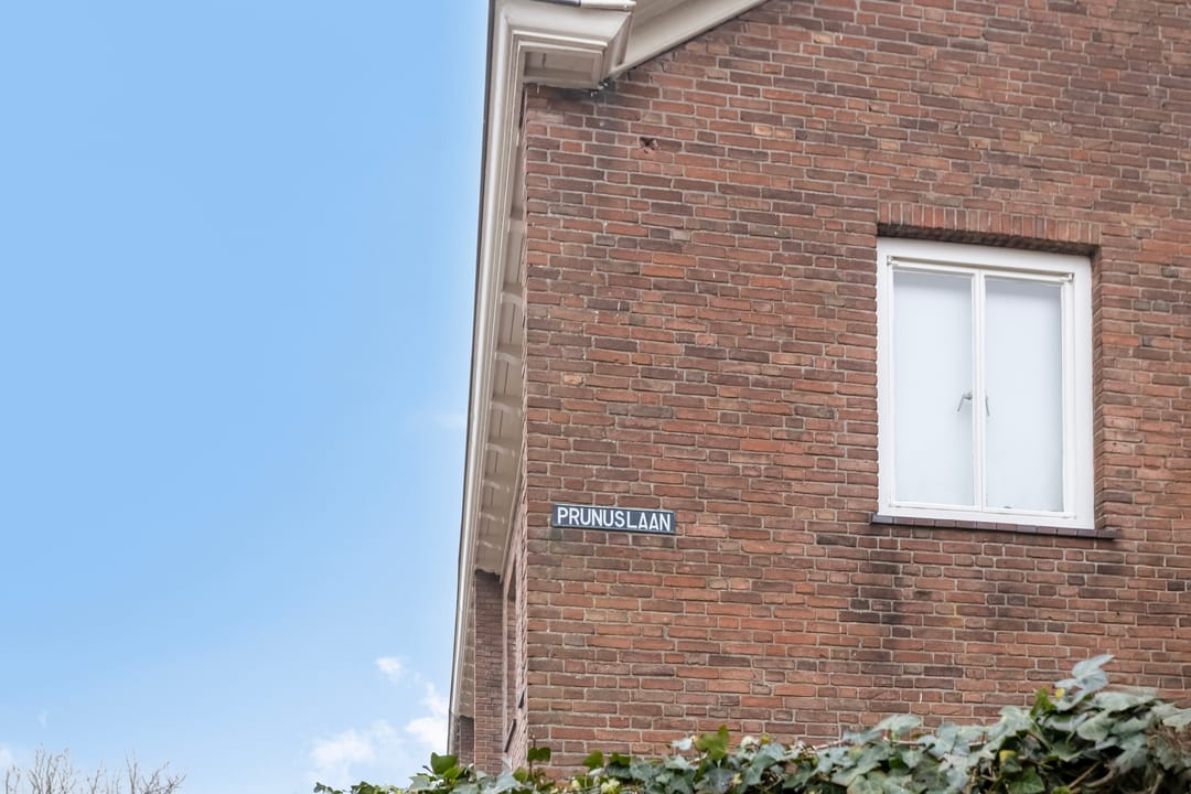 Photo 32 of Prunuslaan 1