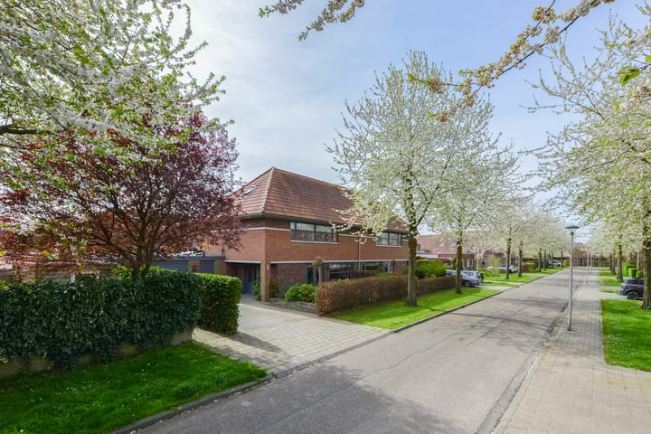 Foto 54 van Kamgras 14