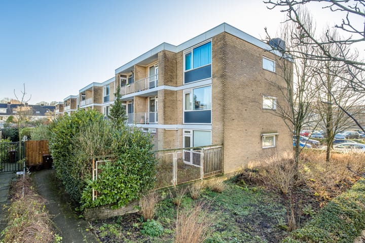 Foto 39 van Hijmans van den Berghlaan 10