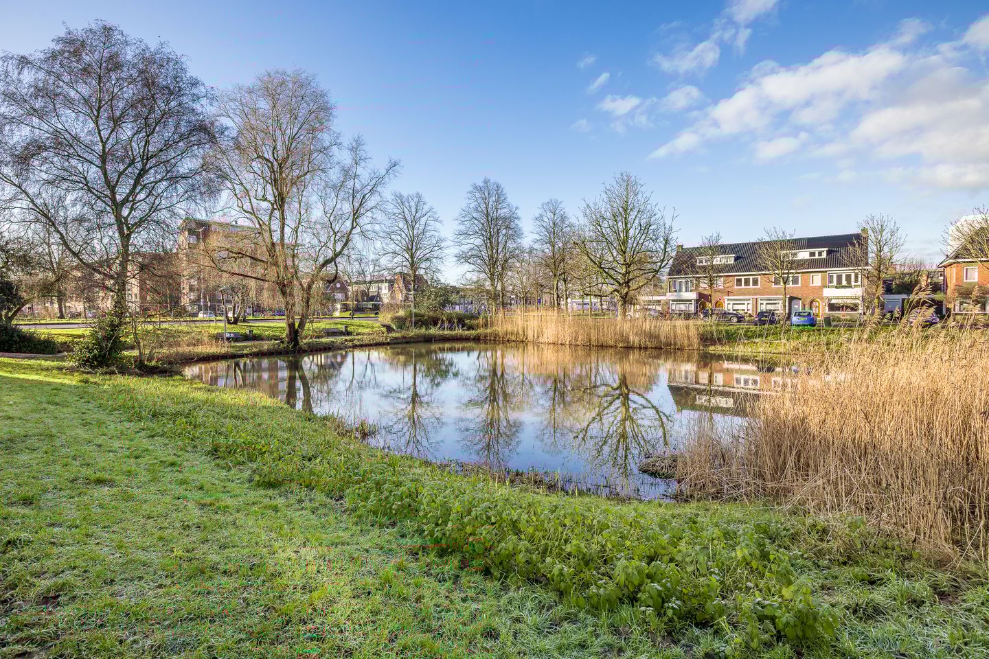 Foto 44 van Hijmans van den Berghlaan 10