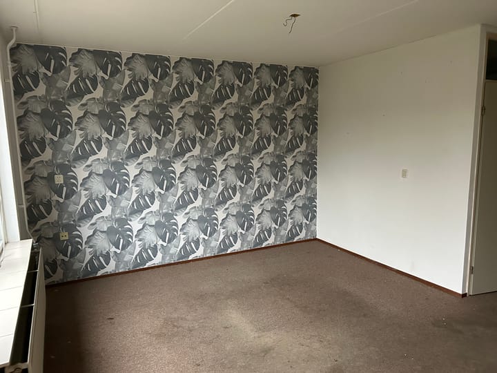 Foto 6 van de Hooge Wheeën 14