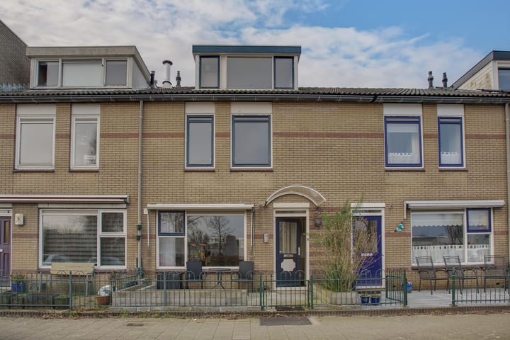 Foto 5 van Cadmiumgeel 54