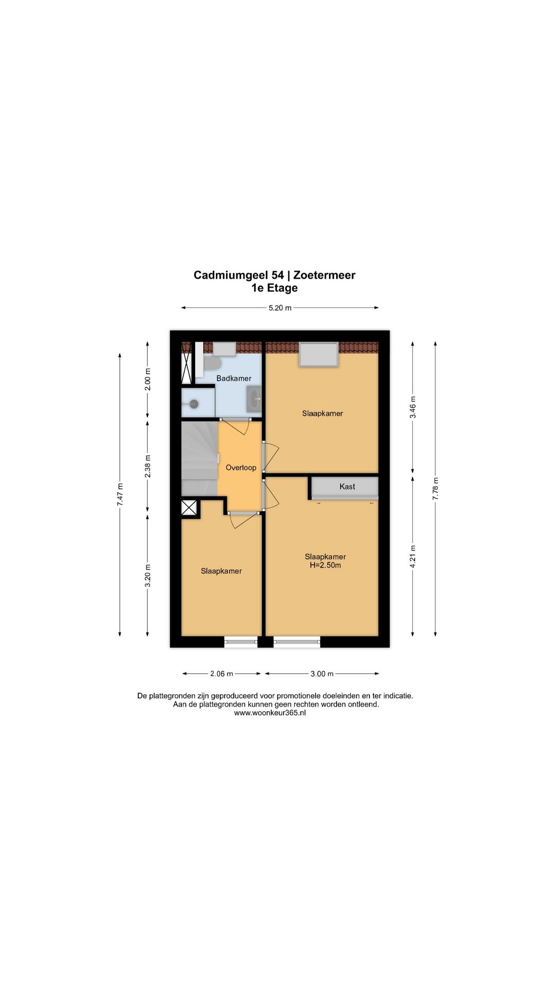 Foto 48 van Cadmiumgeel 54