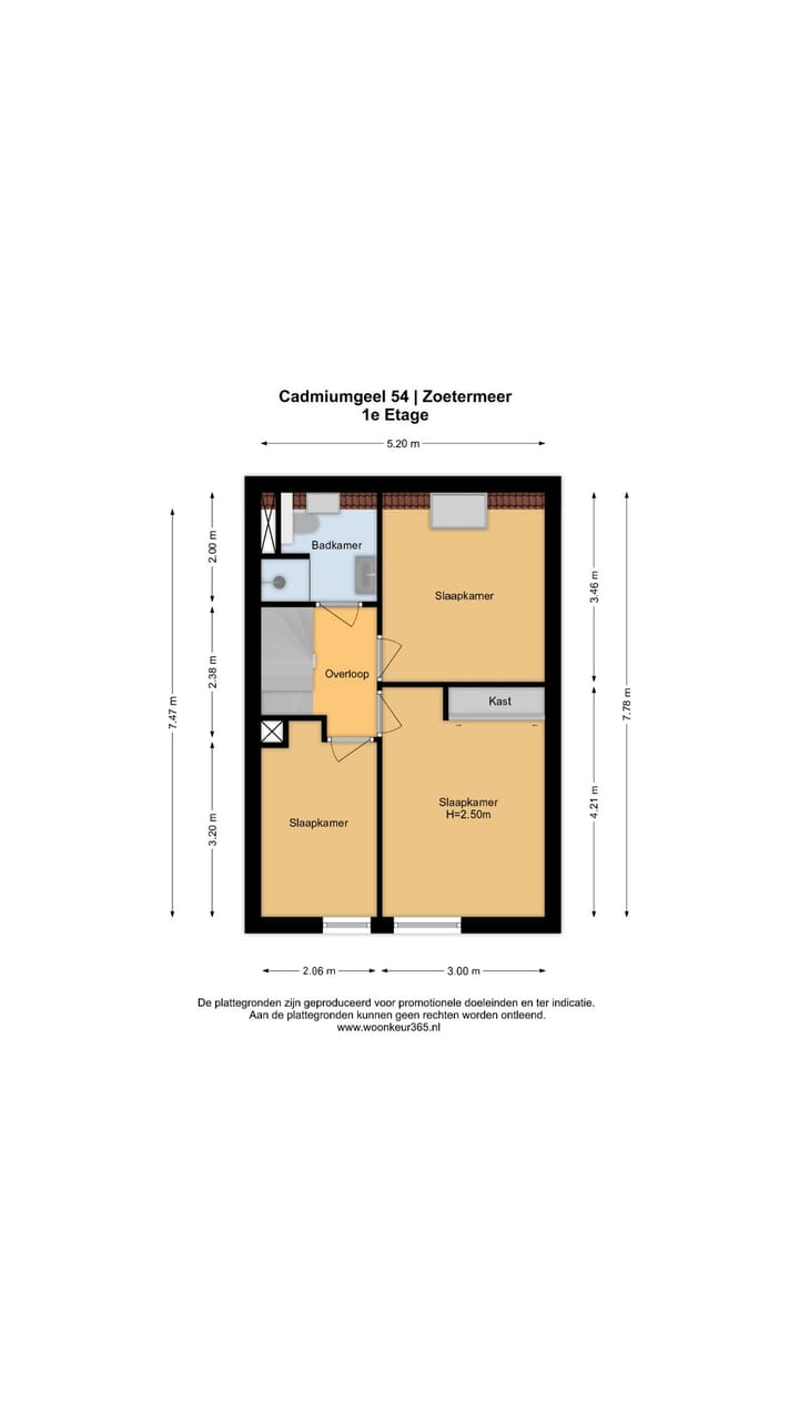 Foto 48 van Cadmiumgeel 54