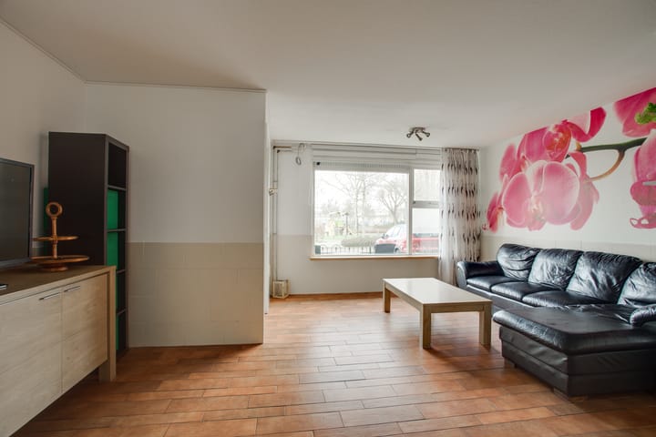 Foto 12 van Cadmiumgeel 54