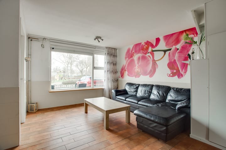 Foto 13 van Cadmiumgeel 54