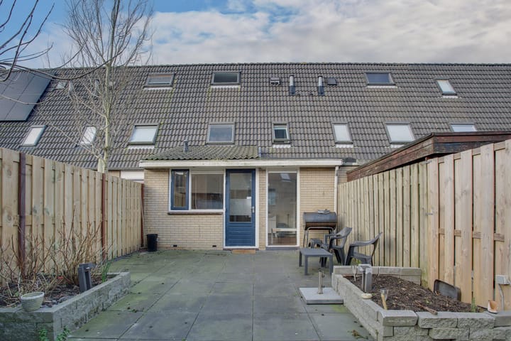 Foto 3 van Cadmiumgeel 54