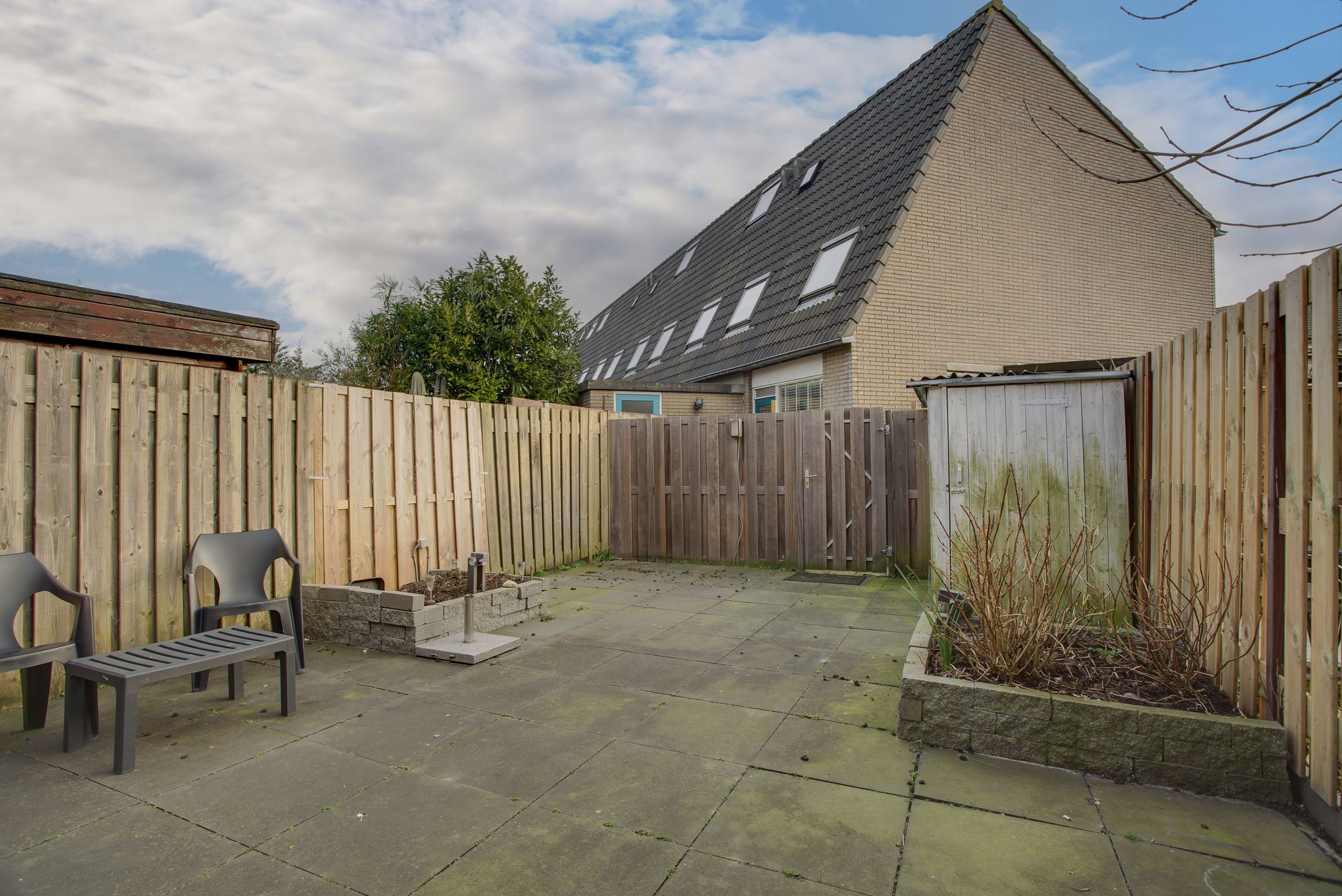 Foto 21 van Cadmiumgeel 54