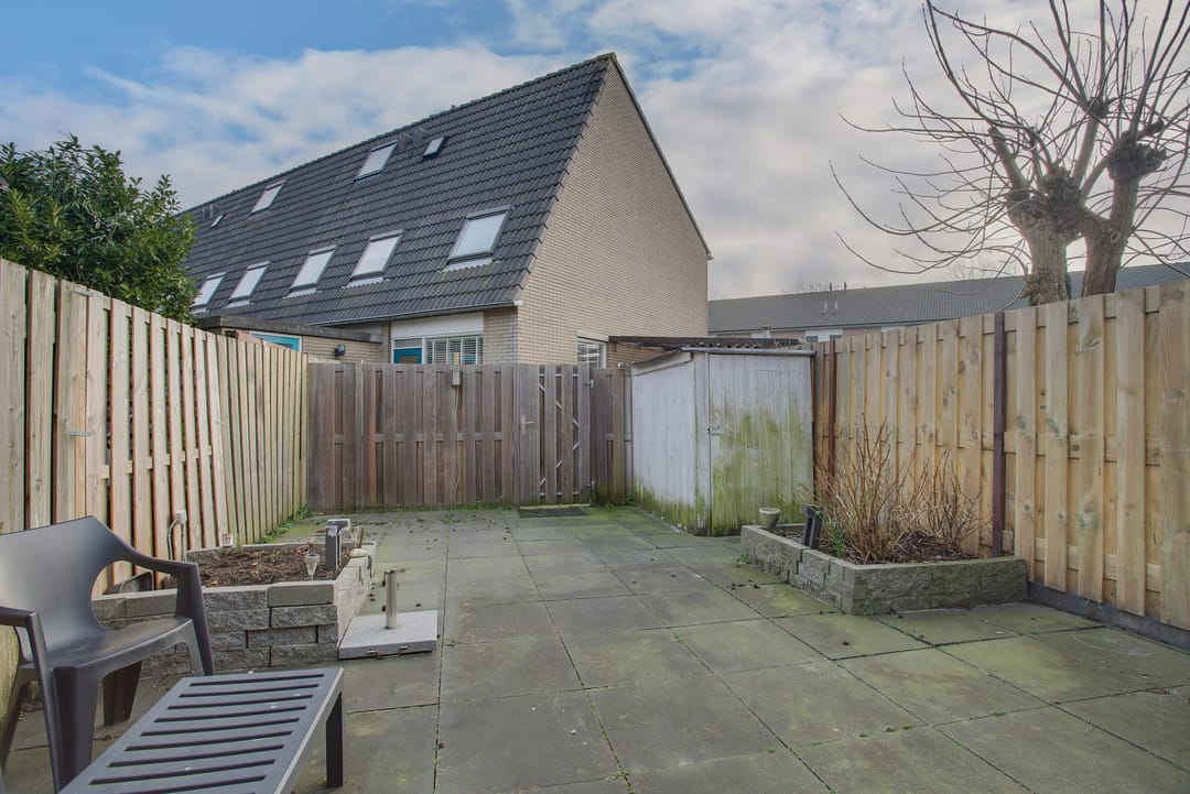 Foto 22 van Cadmiumgeel 54