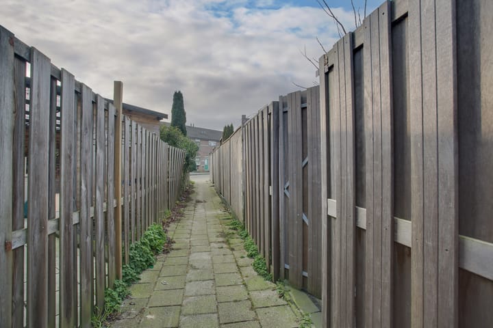 Foto 24 van Cadmiumgeel 54