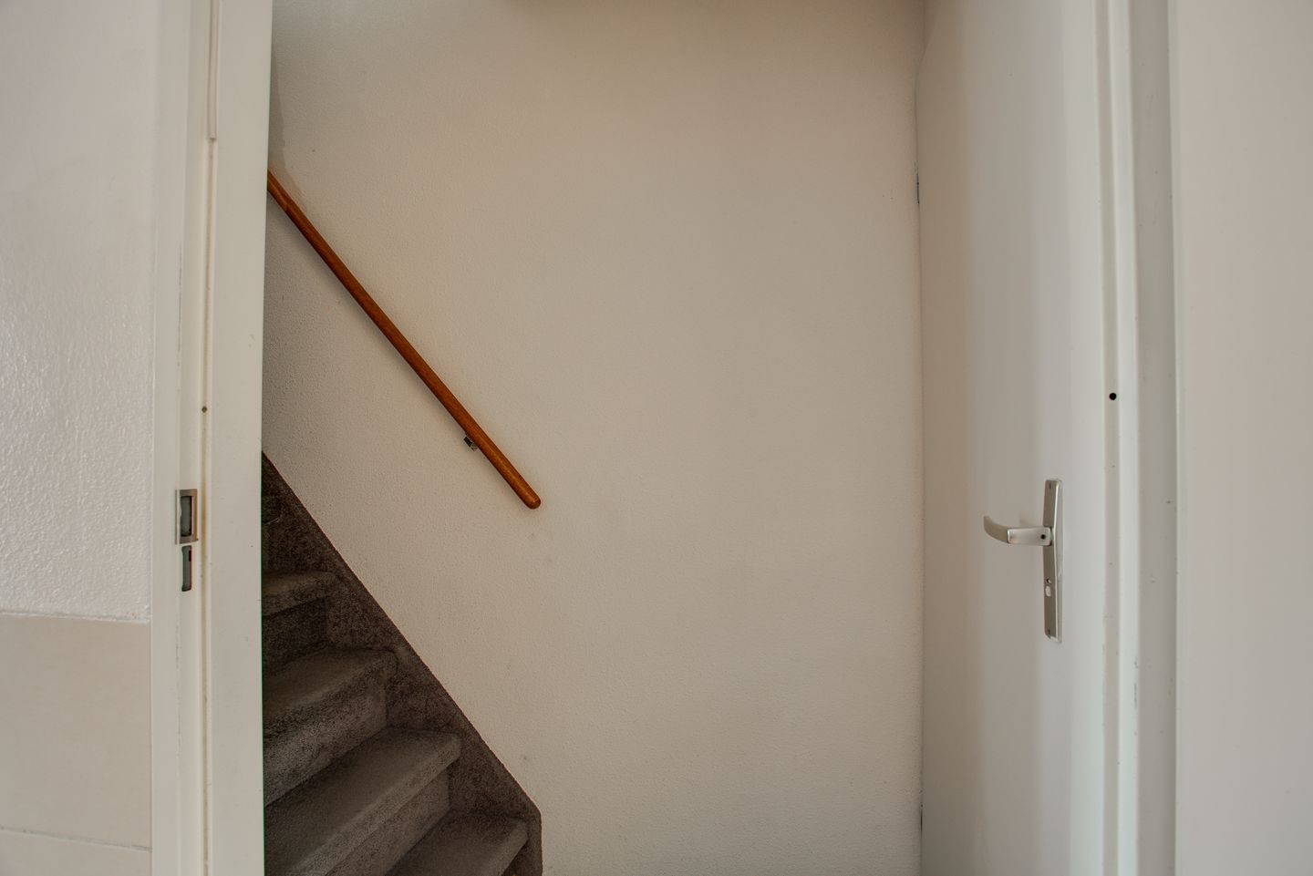 Foto 25 van Cadmiumgeel 54