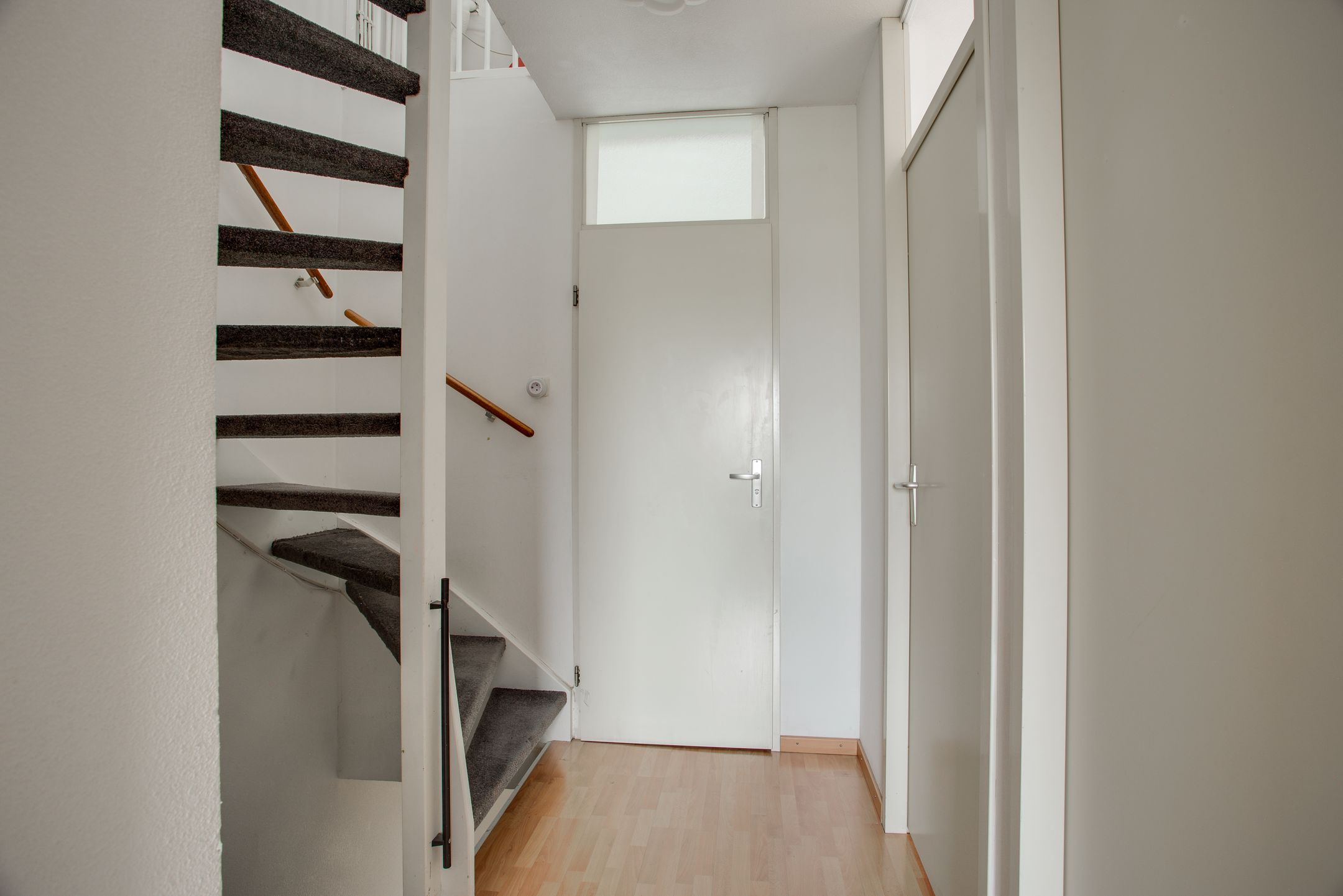 Foto 27 van Cadmiumgeel 54