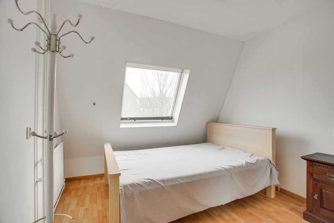 Foto 31 van Cadmiumgeel 54