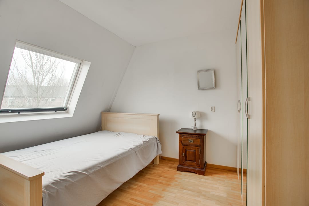 Foto 32 van Cadmiumgeel 54