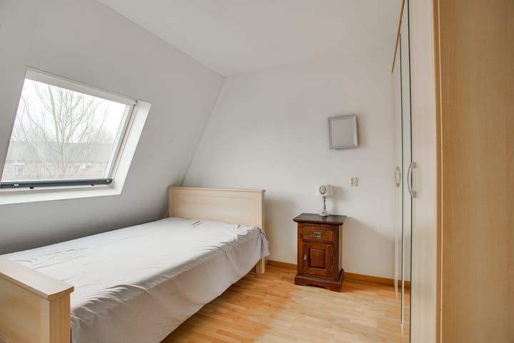 Foto 32 van Cadmiumgeel 54