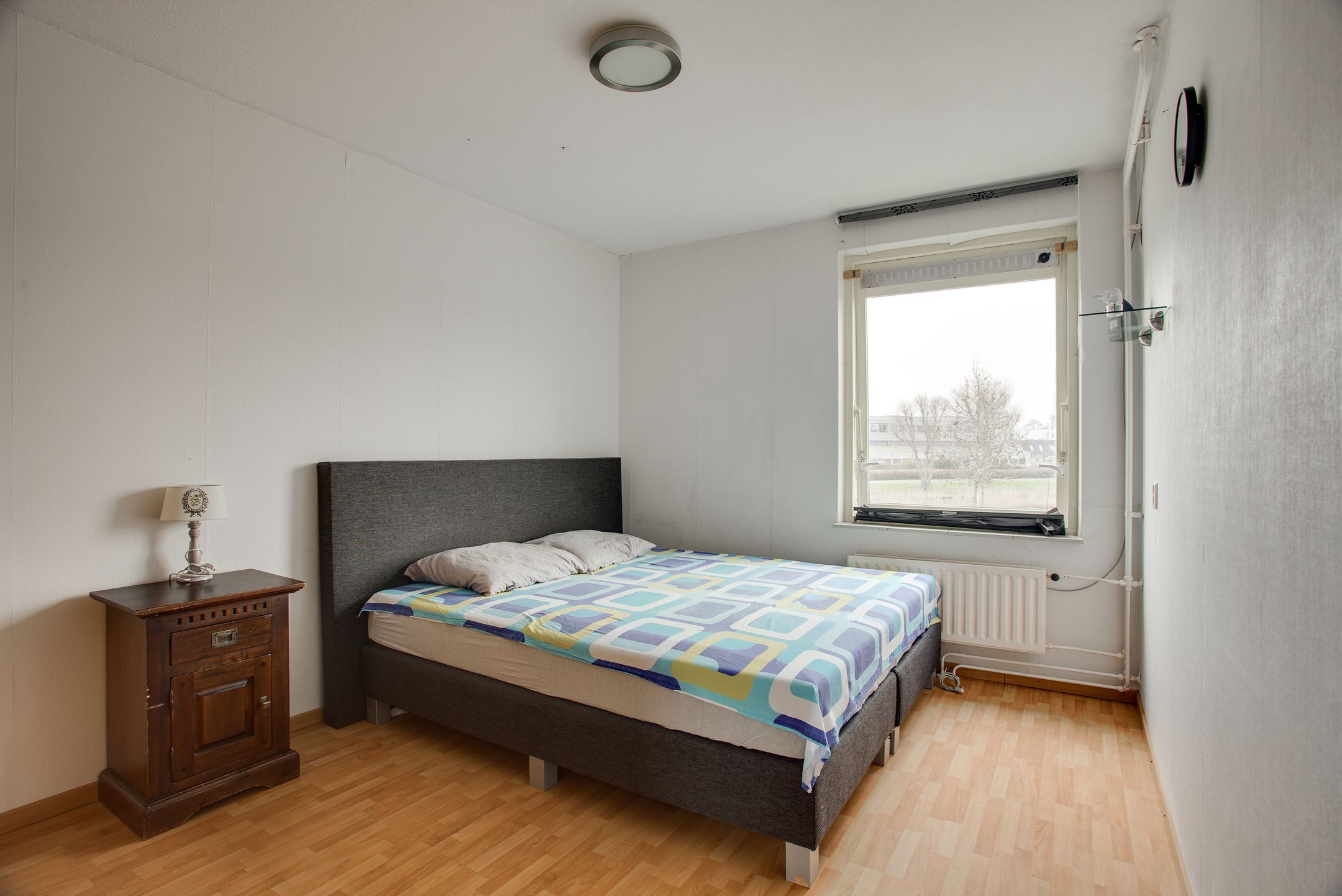 Foto 33 van Cadmiumgeel 54