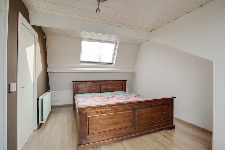 Foto 38 van Cadmiumgeel 54