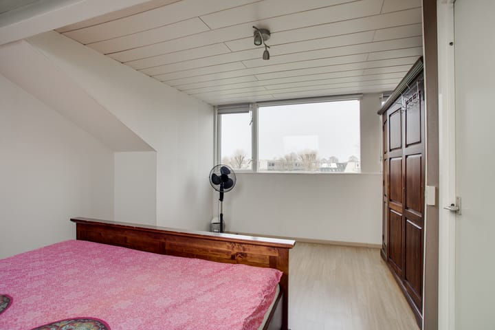 Foto 39 van Cadmiumgeel 54