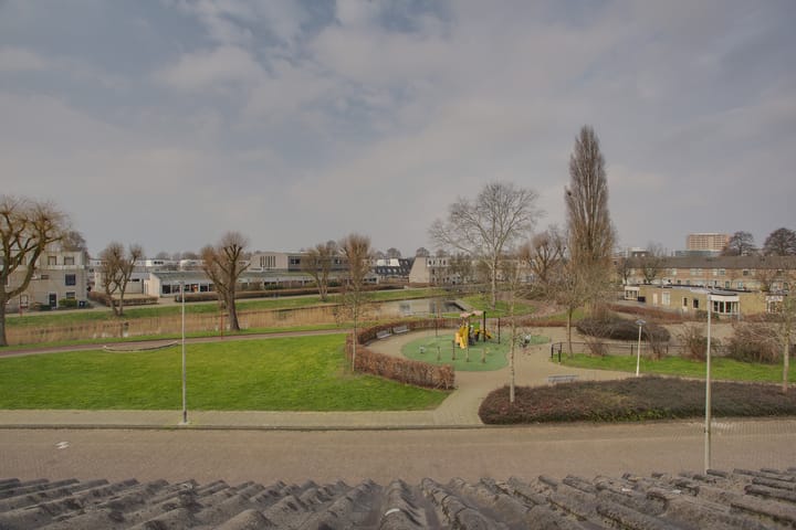 Foto 40 van Cadmiumgeel 54