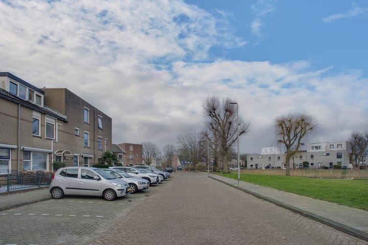 Foto 41 van Cadmiumgeel 54