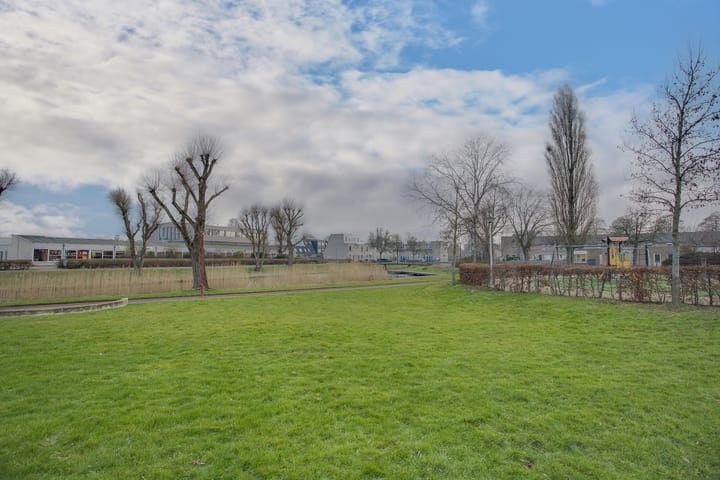 Foto 42 van Cadmiumgeel 54