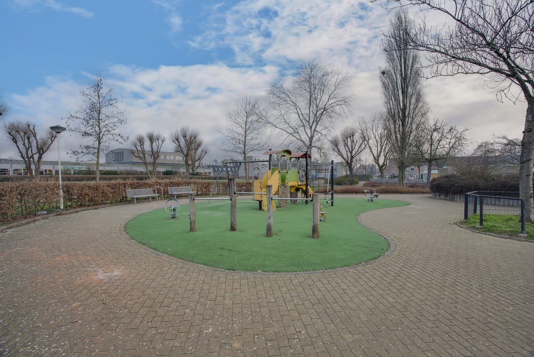 Foto 43 van Cadmiumgeel 54