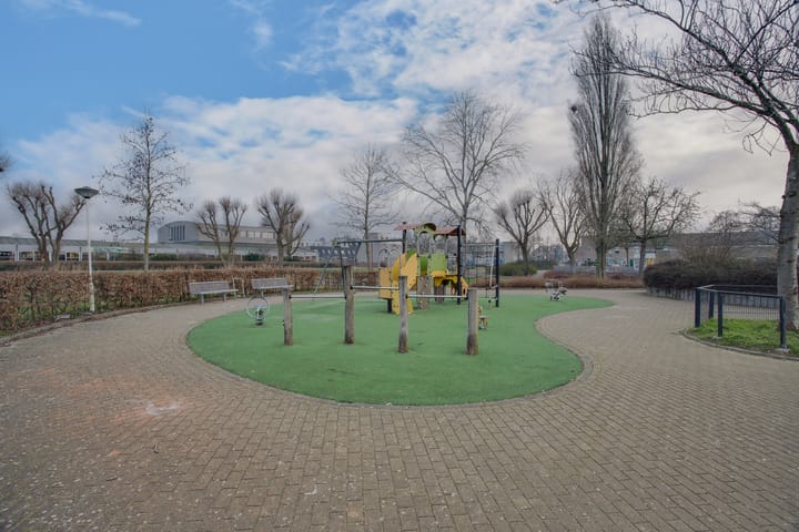 Foto 43 van Cadmiumgeel 54