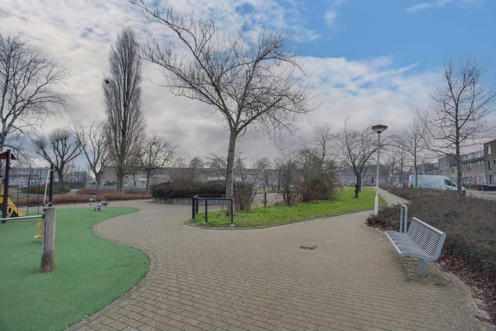 Foto 44 van Cadmiumgeel 54