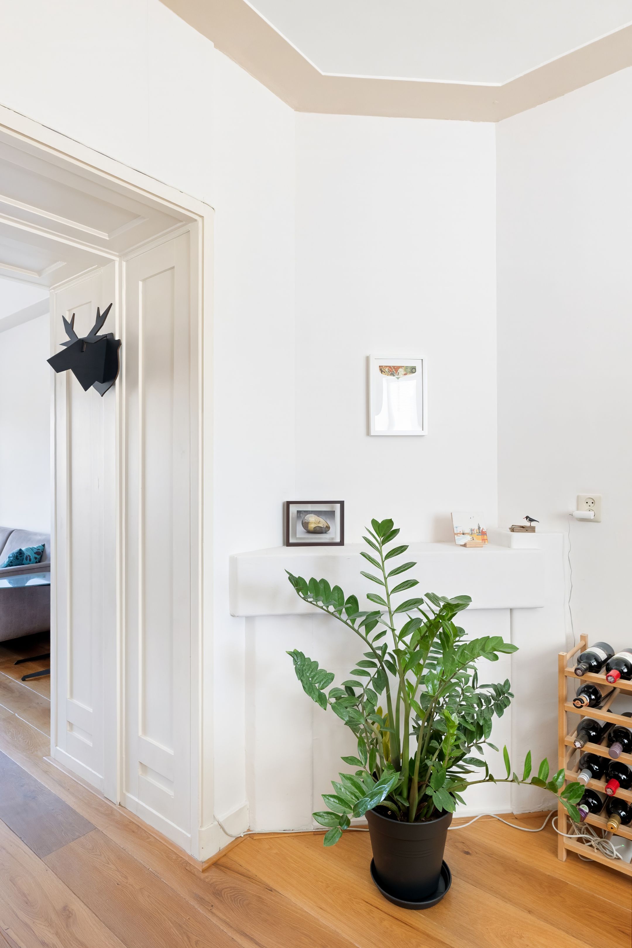 Foto 15 van Singel 68